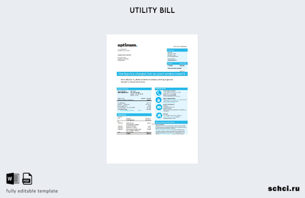 цифровая загрузка шаблона счета за кабельное телевидение США Нью Йорк Optimum